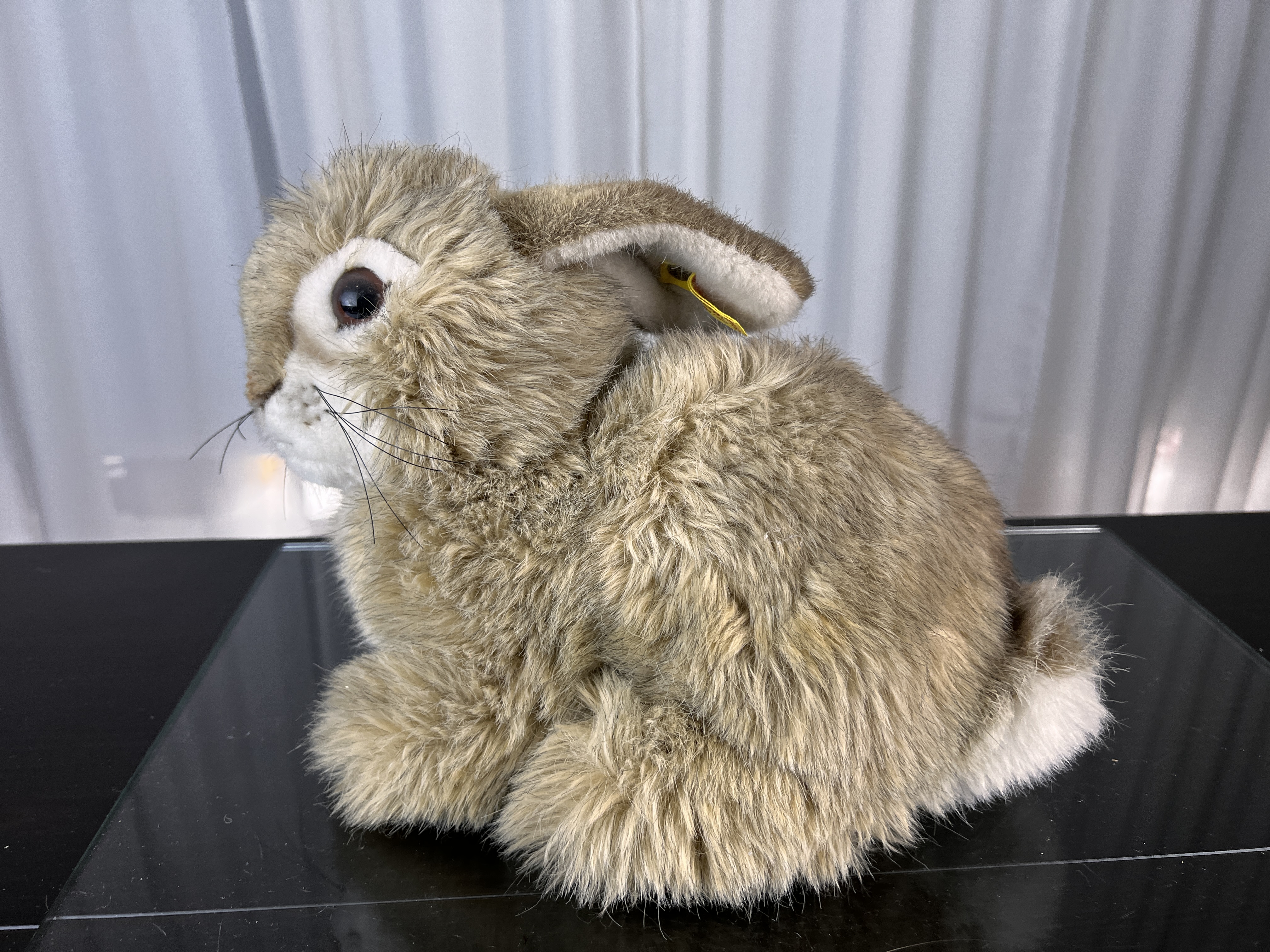 Steiff Tier Stofftier Hase 21 cm. Top Zustand   