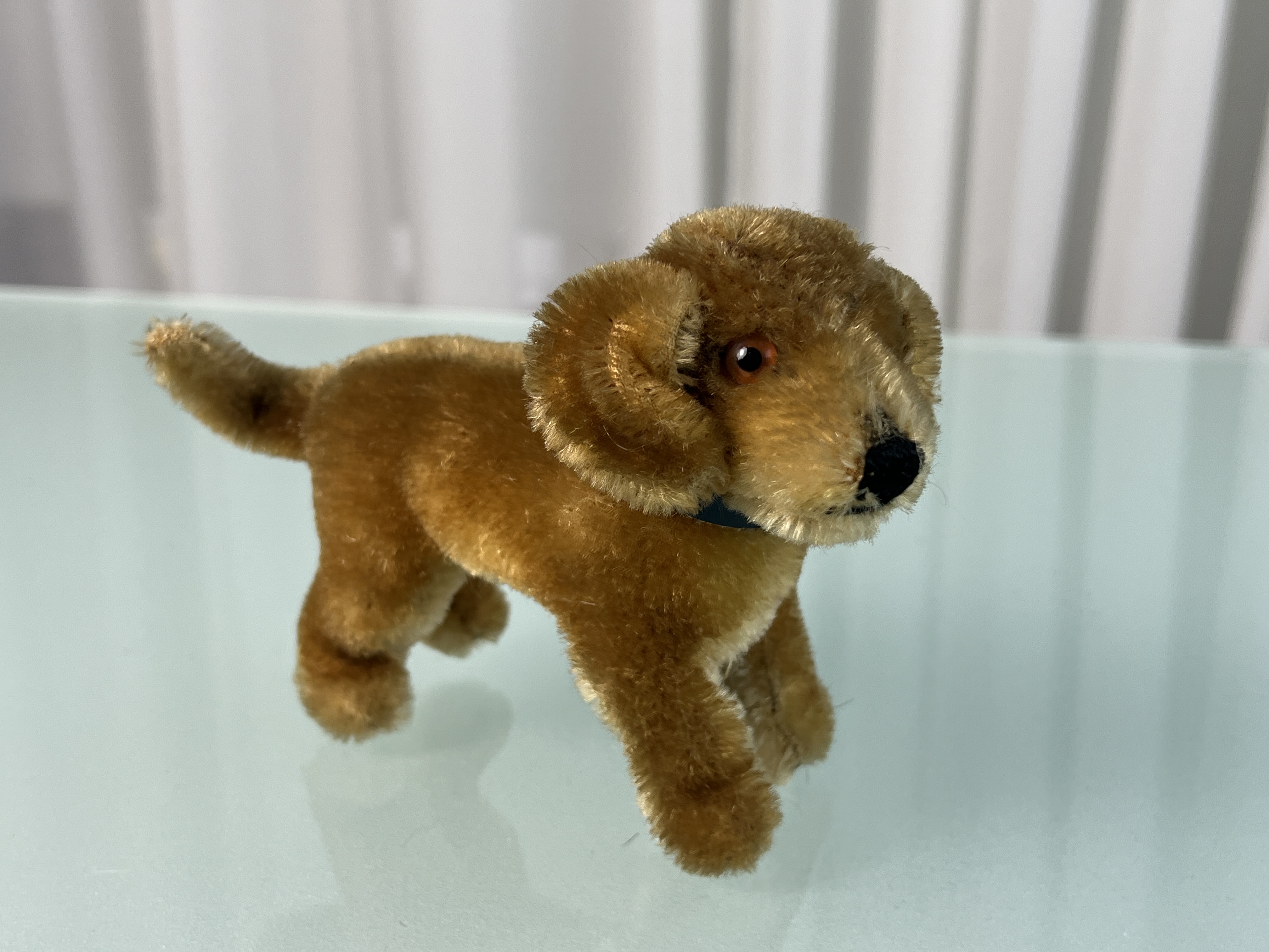 Steiff Tier Hund 11 x 15 cm. Zustand siehe Fotos 