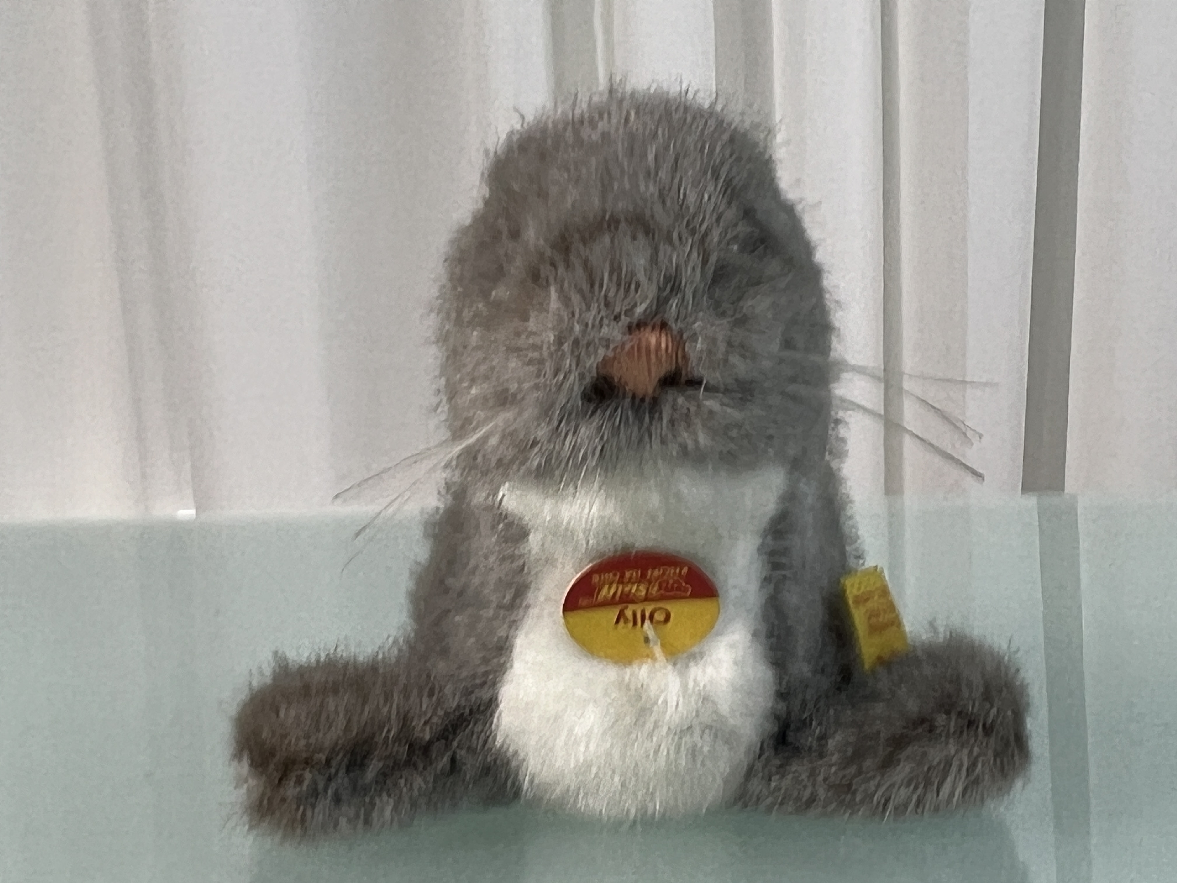 Steiff Tier Robe 10,5 x 16 cm. Zustand siehe Fotos 