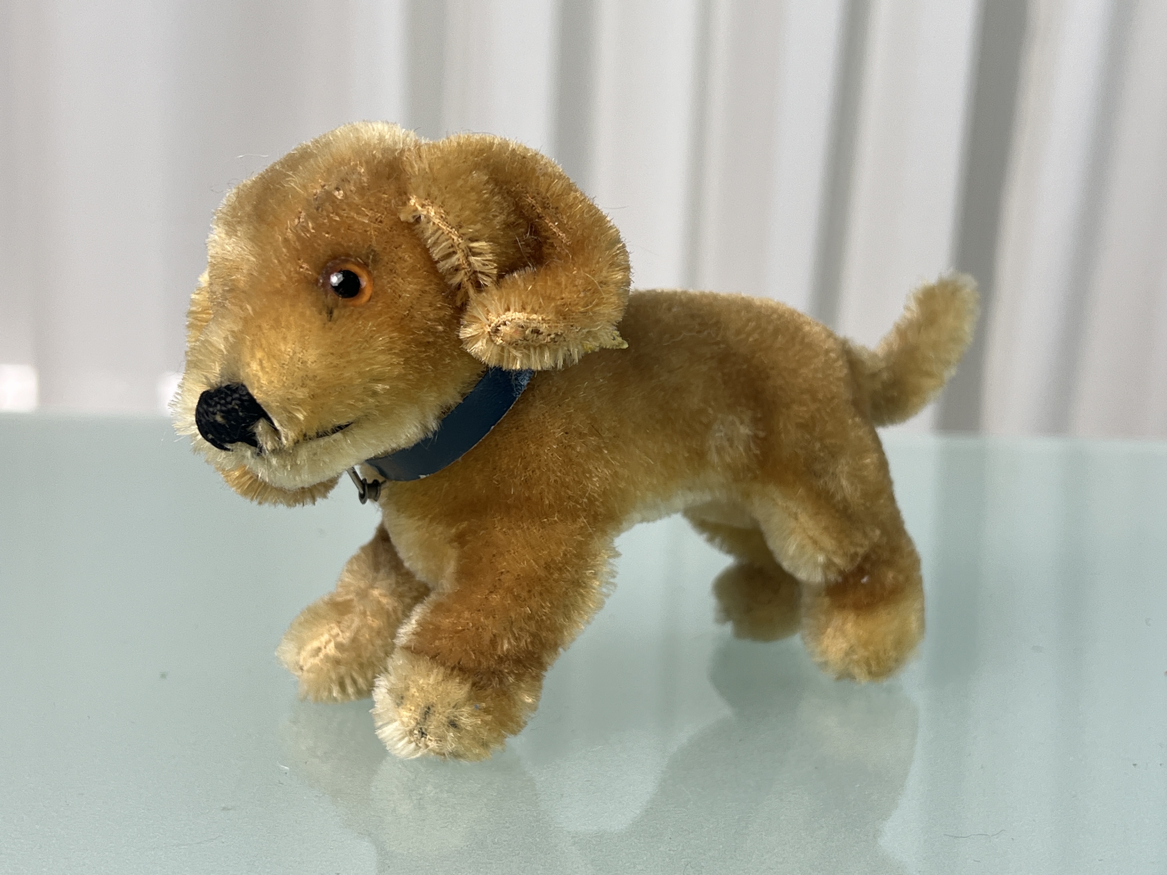 Steiff Tier Hund 10 x 16 cm. Top Zustand  