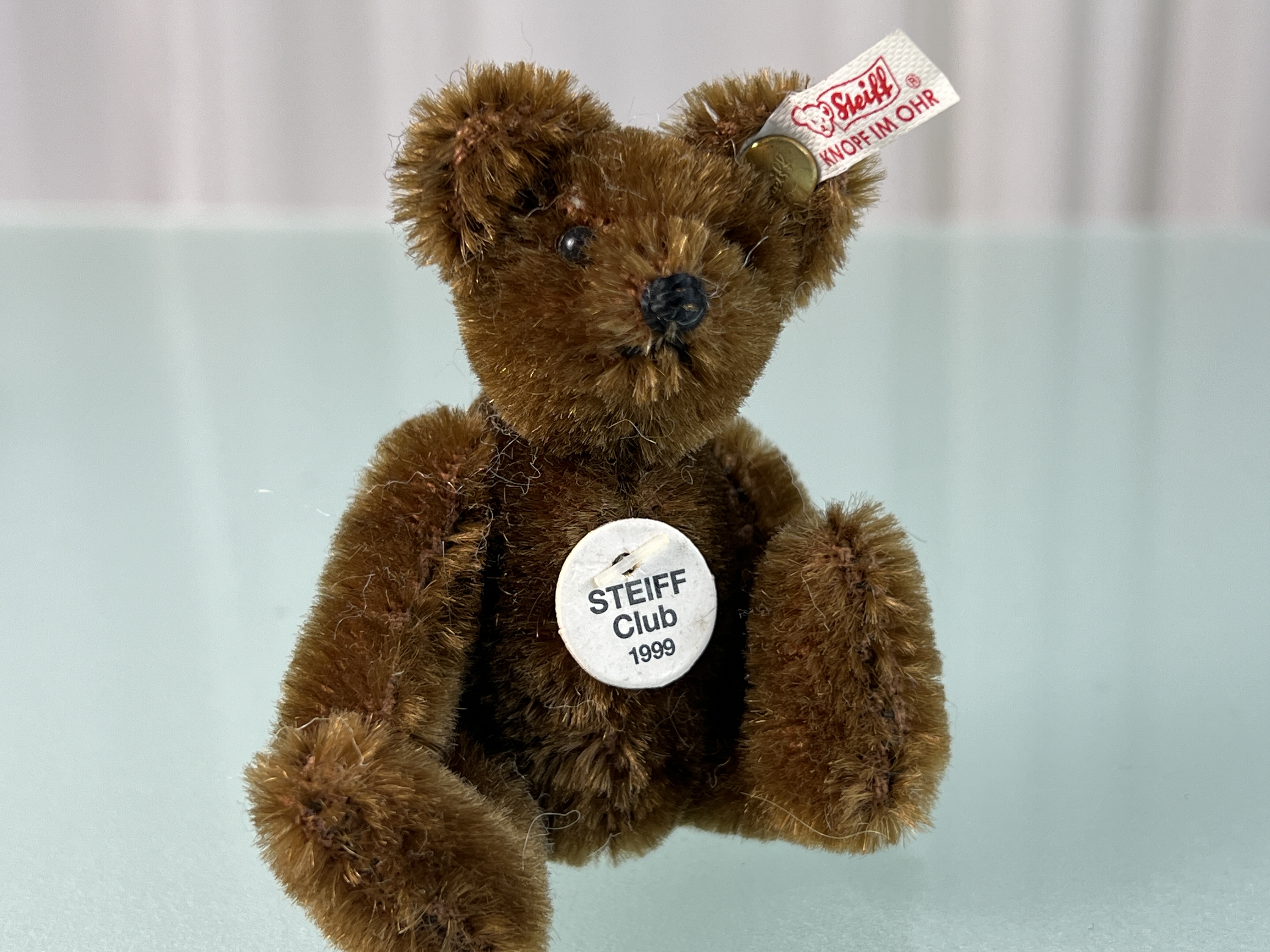 Steiff Tier Club Teddy Sammler Bär 1999. Top Zustand    