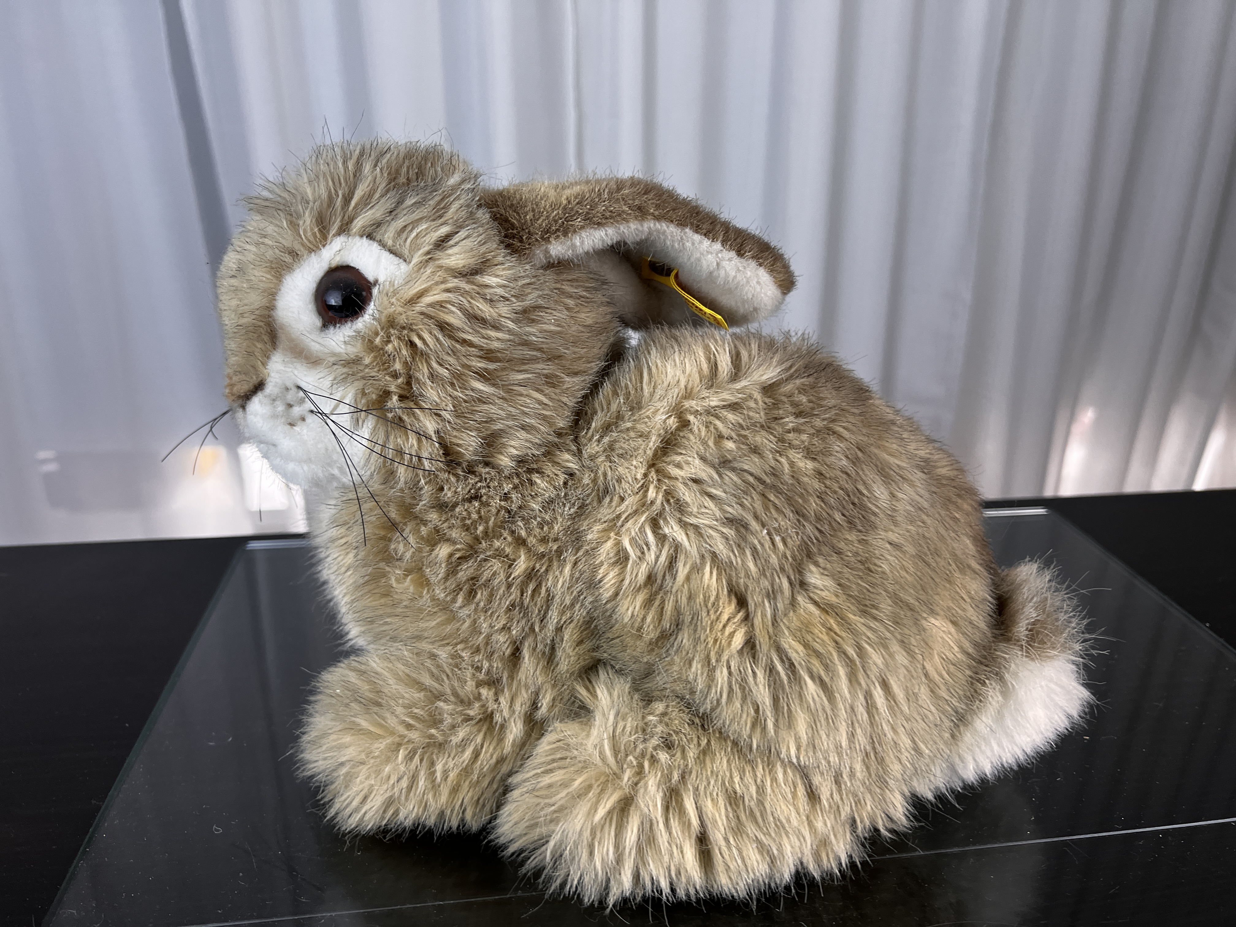 Steiff Tier Stofftier Hase 21 cm. Top Zustand   