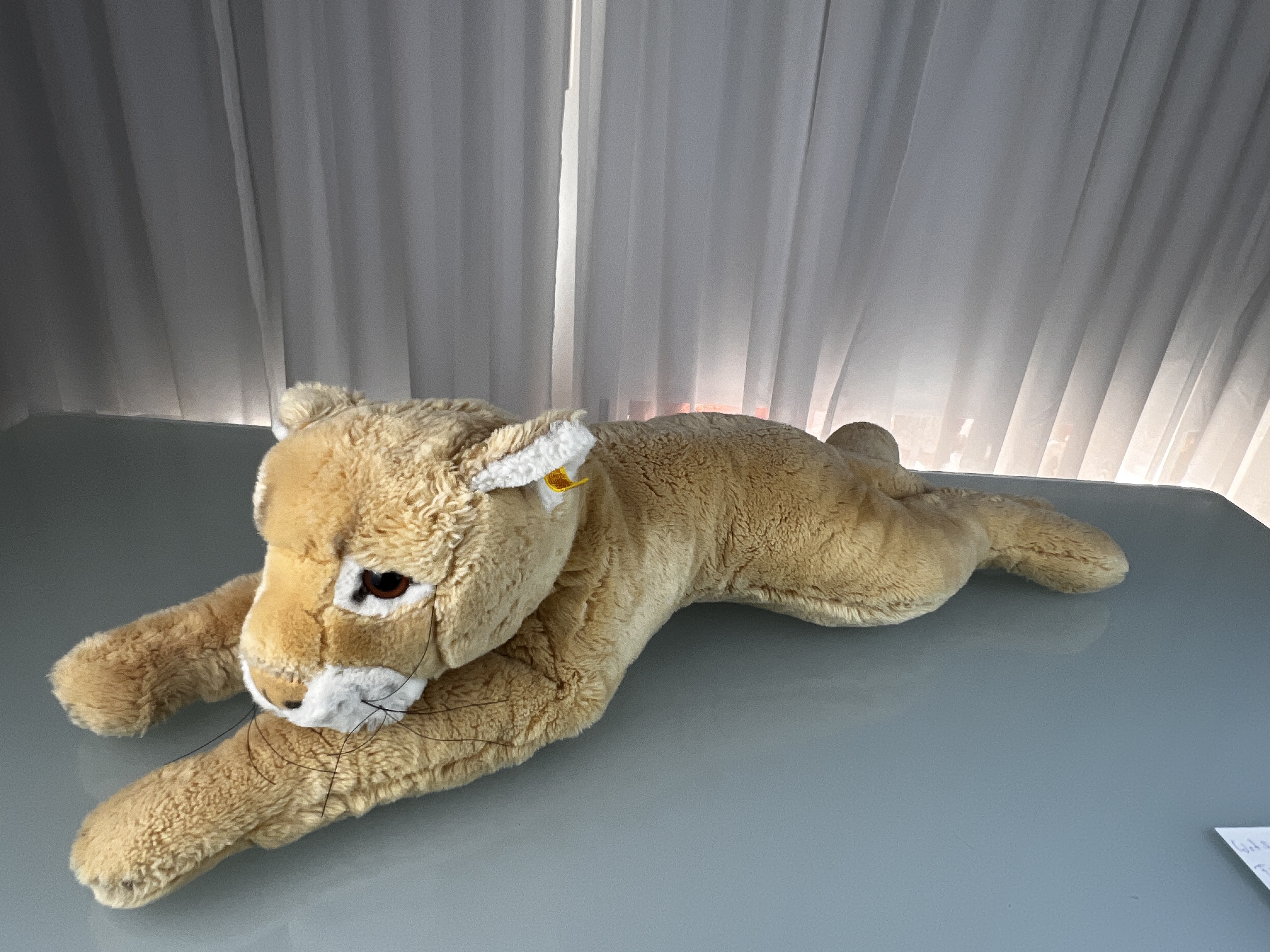 Steiff Tier 0385/75 Puma 75 cm. Top Zustand  