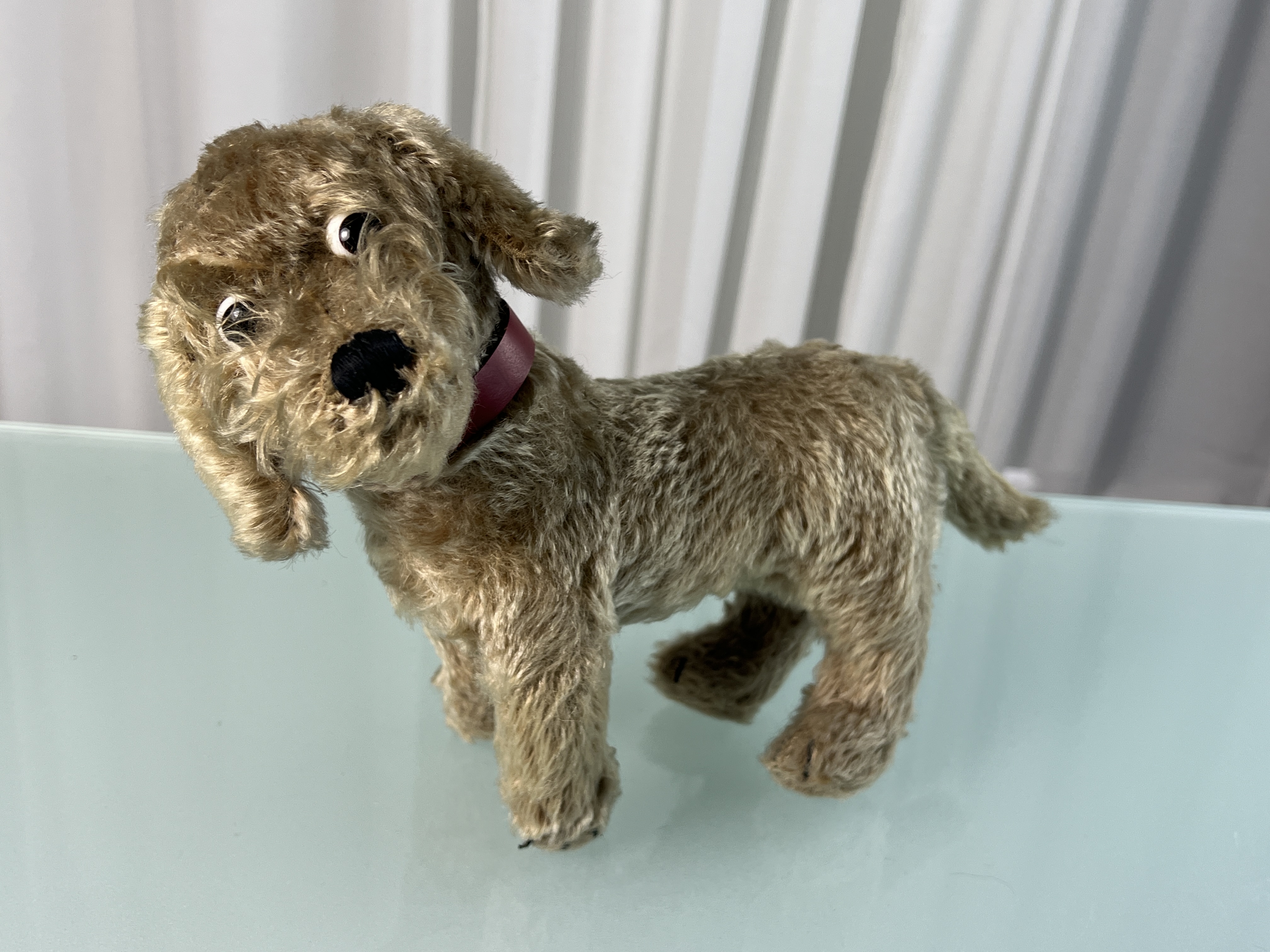 Steiff Tier Hund 22 x 30 cm. Zustand siehe Fotos 