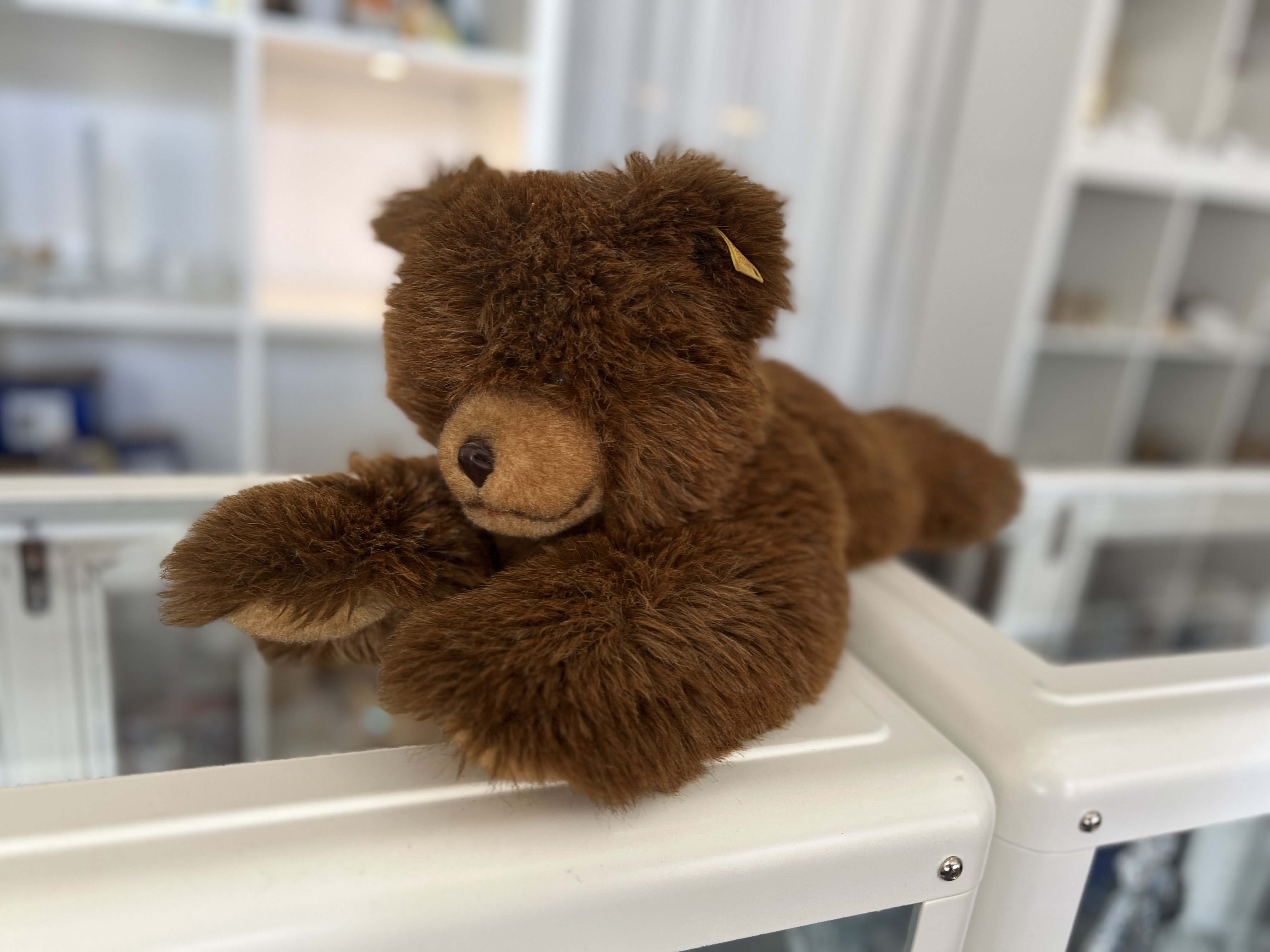Steiff Tier 0332/45 Bär Molly Petsy 45 cm. Top Zustand  