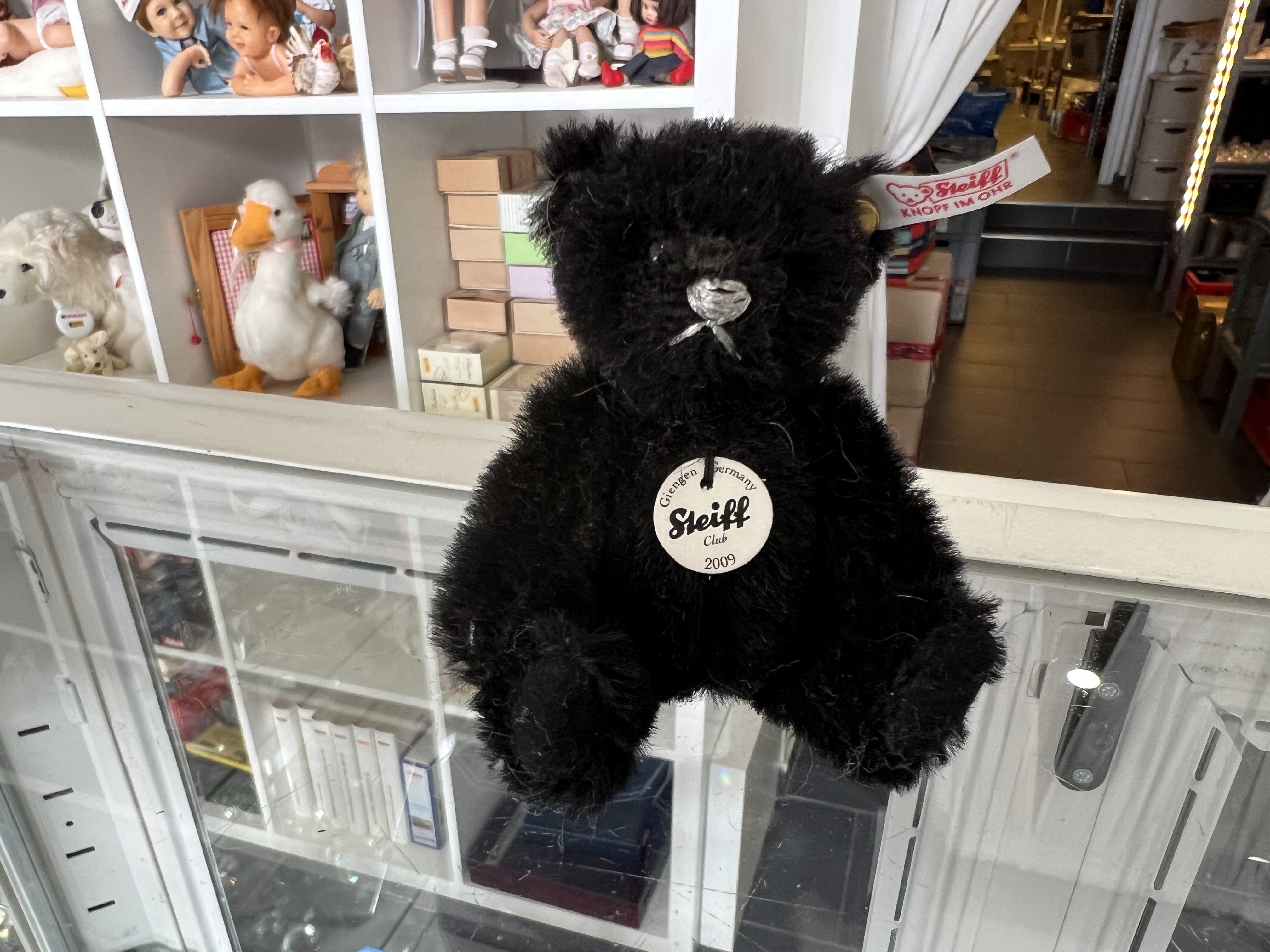 Steiff Tier Teddy Bär Club 2009 Bär. Top Zustand     