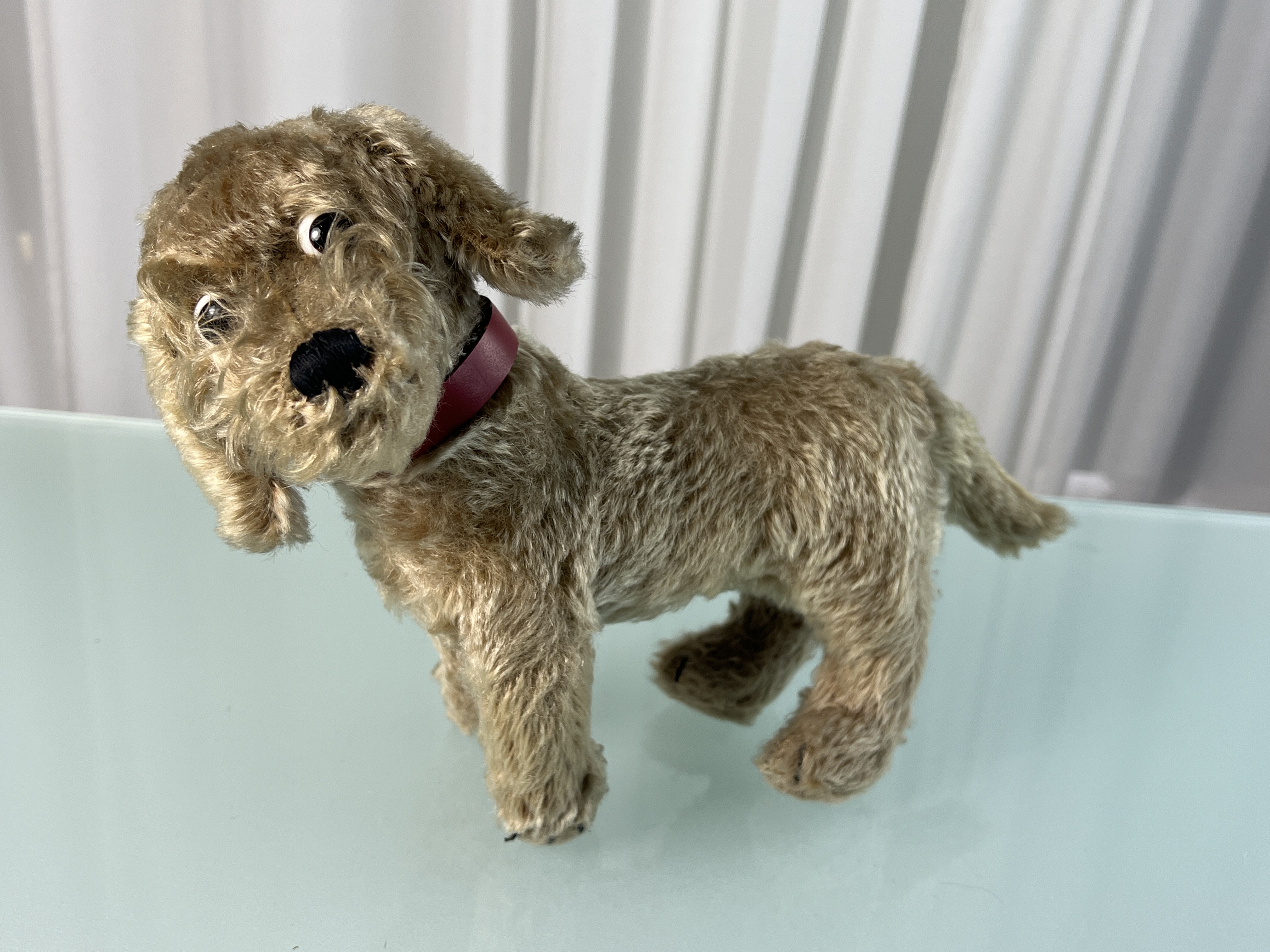 Steiff Tier Hund 22 x 30 cm. Zustand siehe Fotos 