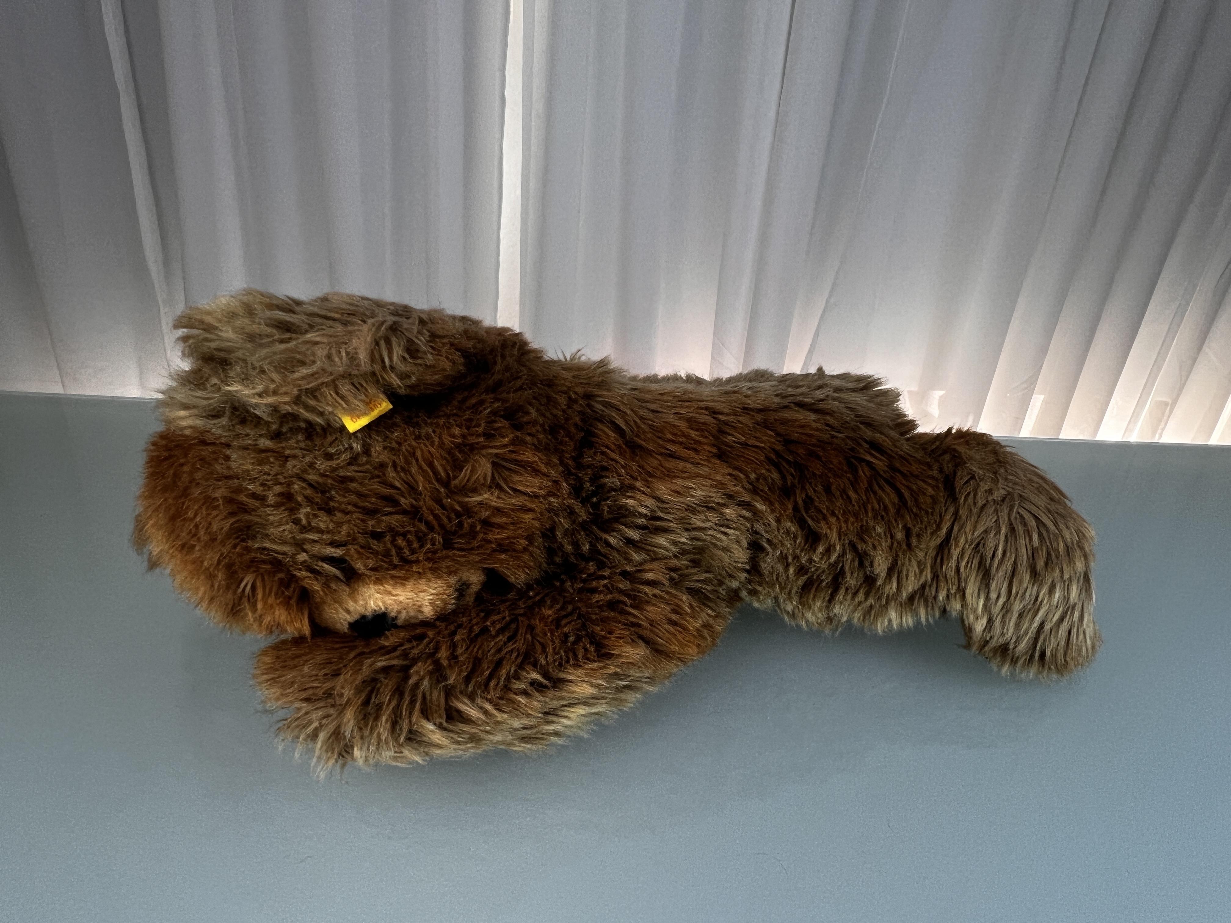 Steiff Tier 0341/40 Bär Molly 40 cm. Top Zustand  