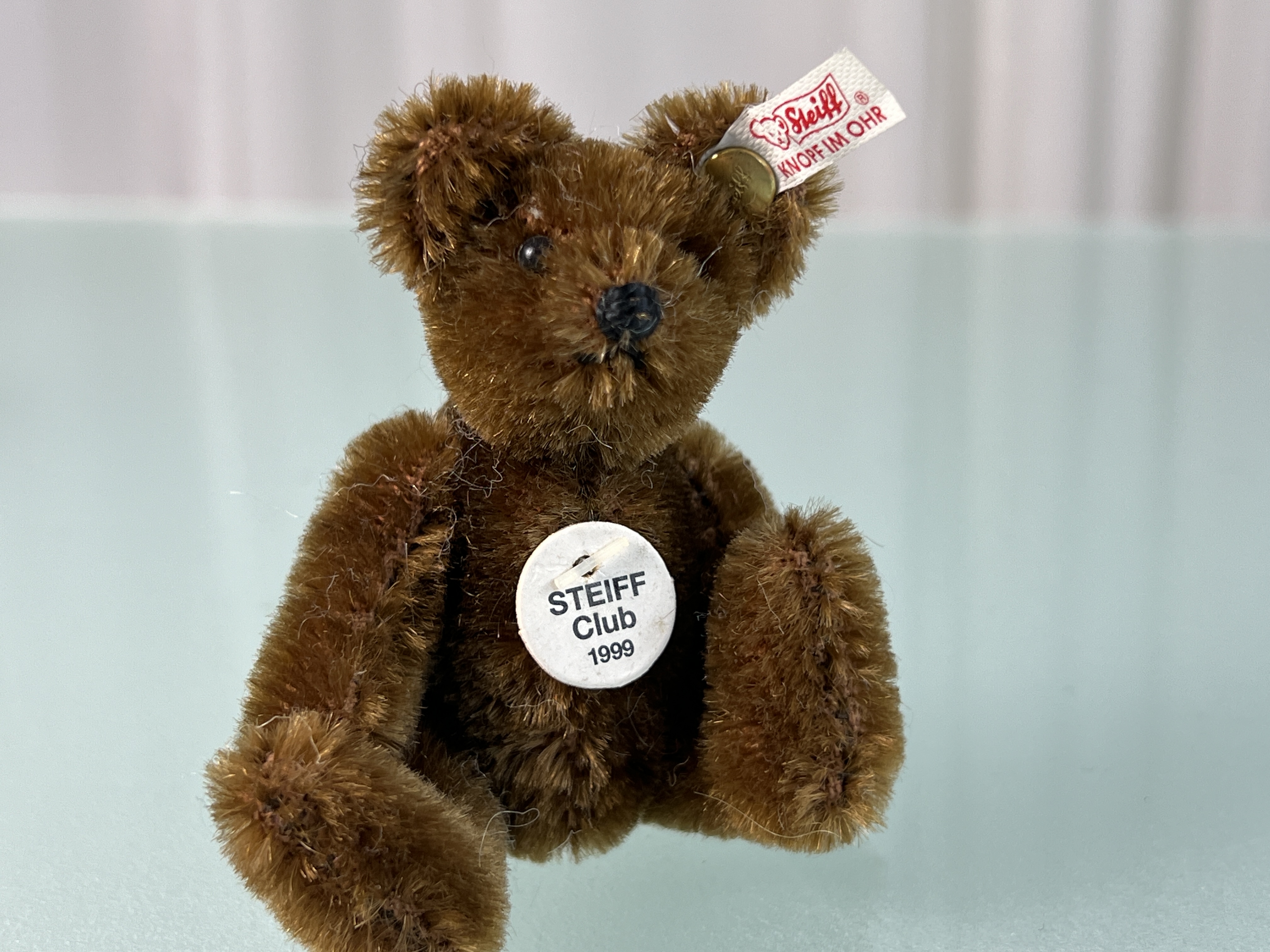 Steiff Tier Club Teddy Sammler Bär 1999. Top Zustand    