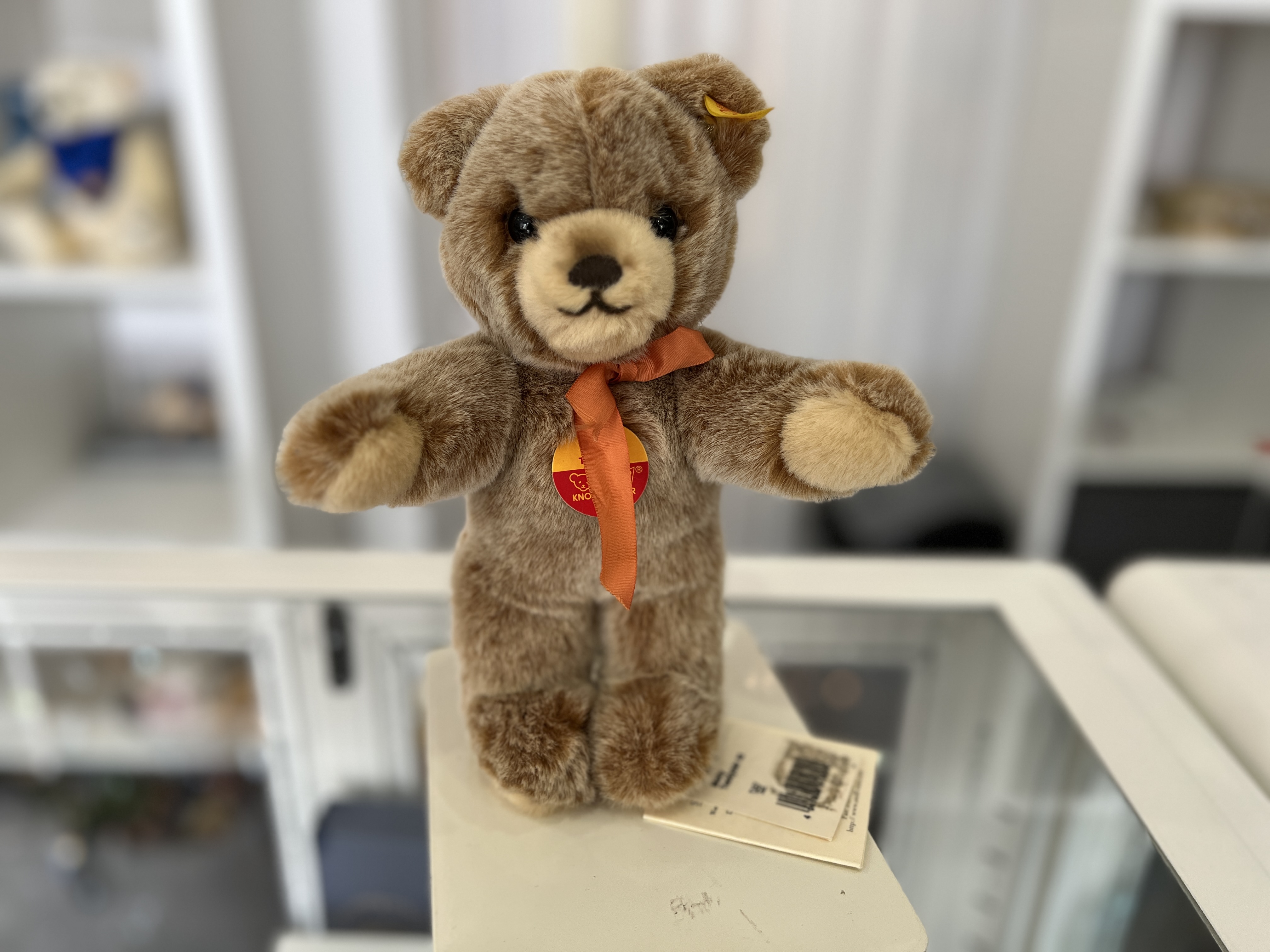 Steiff Tier 019500 Teddy Bär 22 cm. Top Zustand   