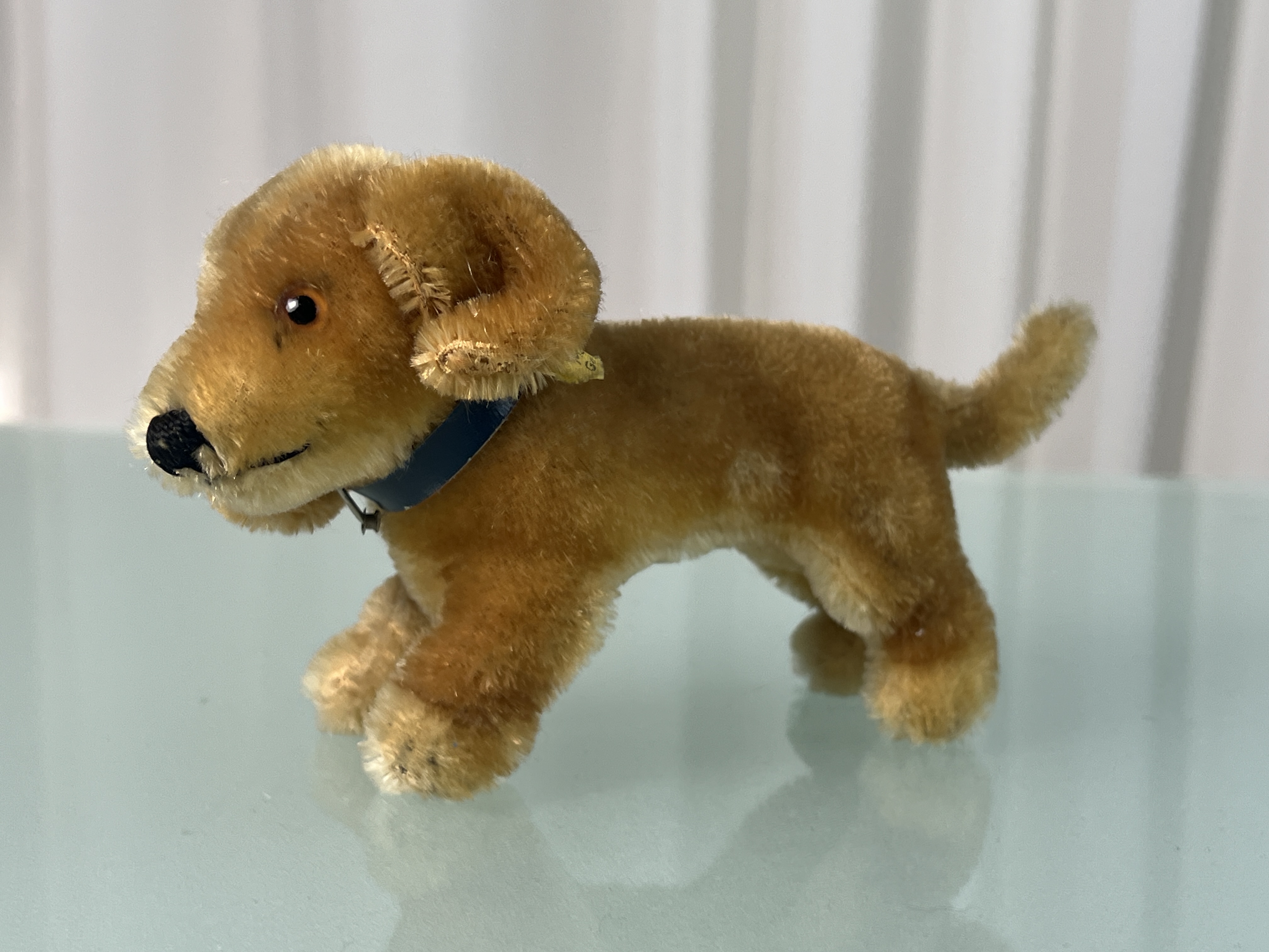 Steiff Tier Hund 10 x 16 cm. Top Zustand  