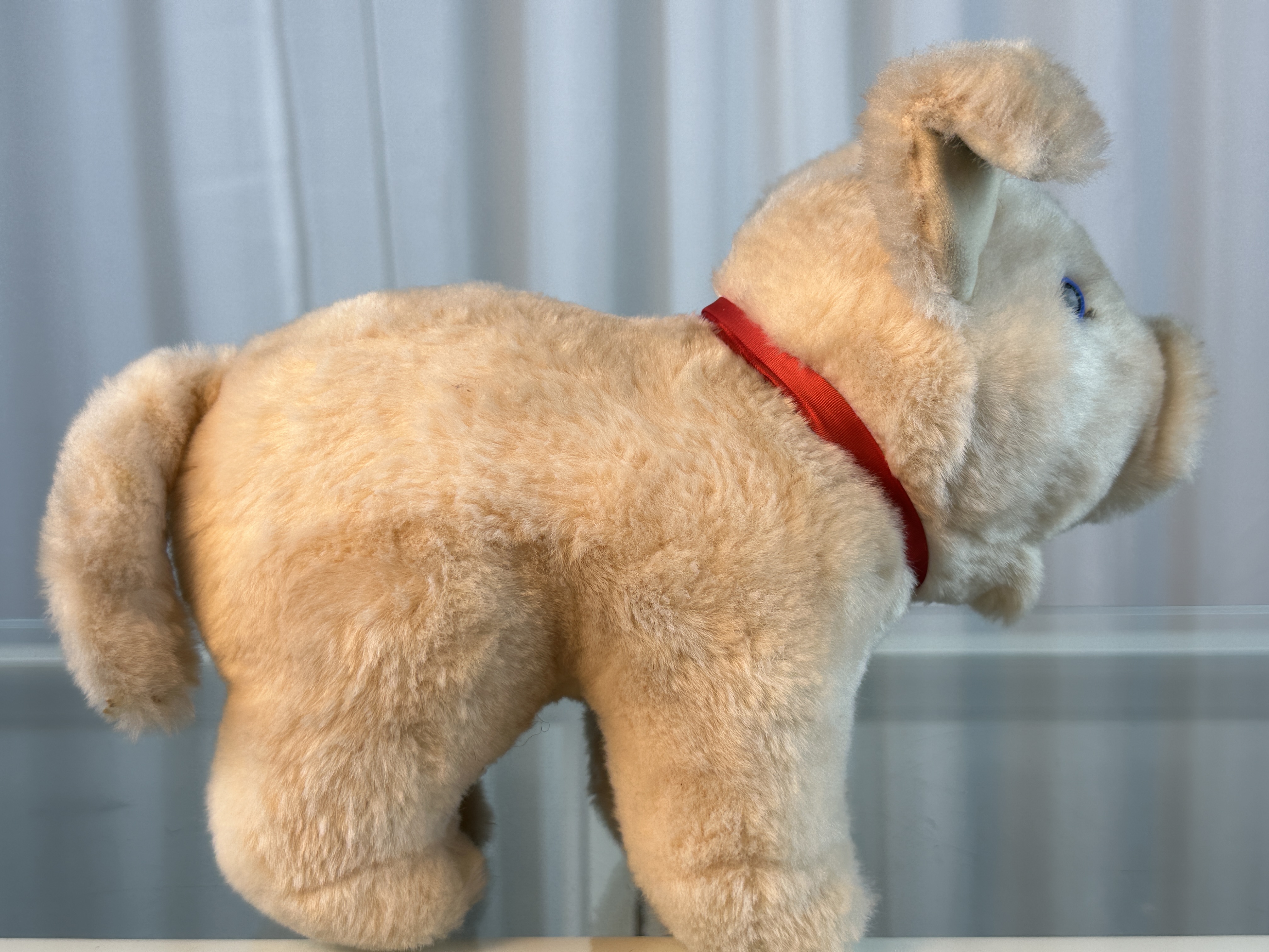 Steiff Tier 081590 Schwein Drolly 24cm Top Zustand 