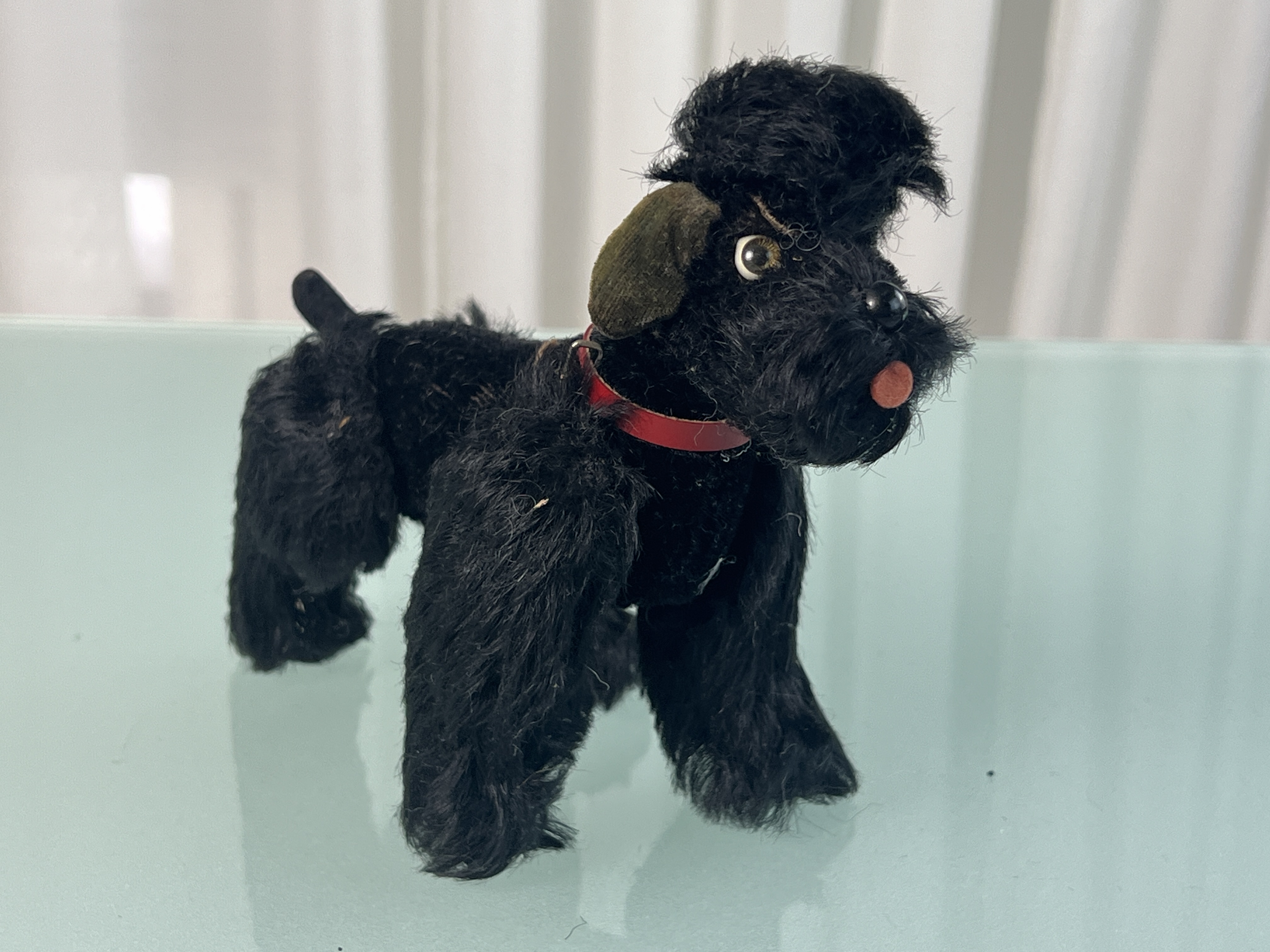 Steiff Tier Hund Pudel 14 cm. Top Zustand  