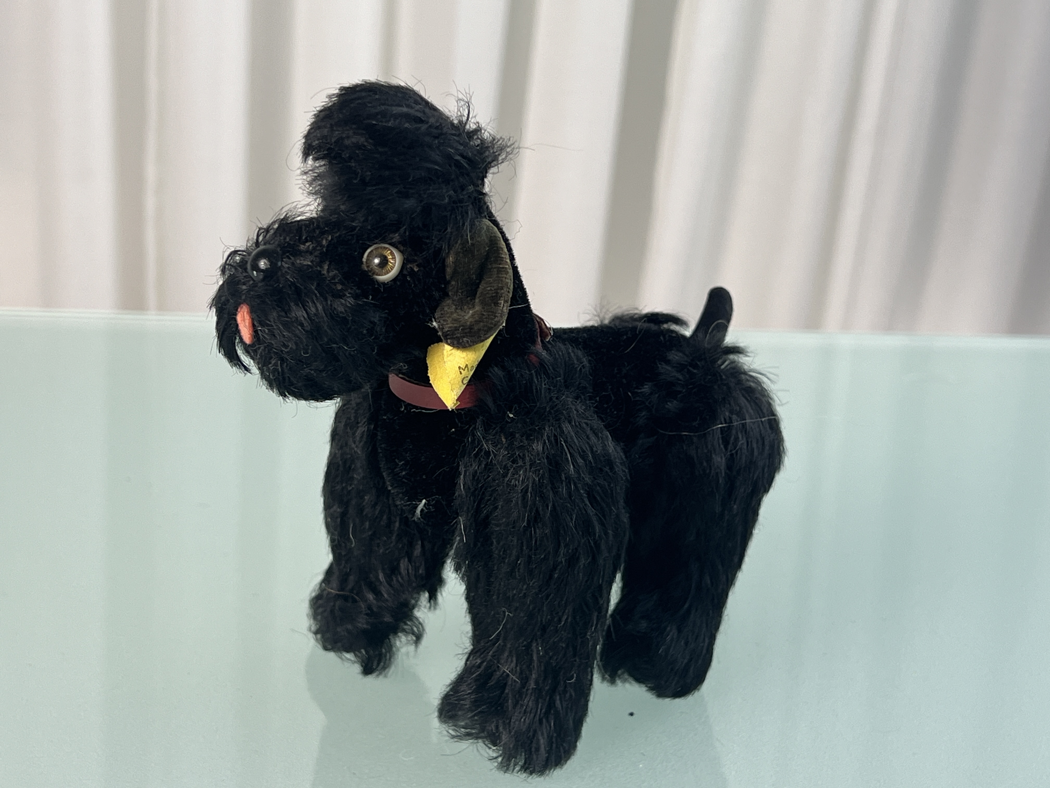 Steiff Tier Hund Pudel 14 cm. Top Zustand  