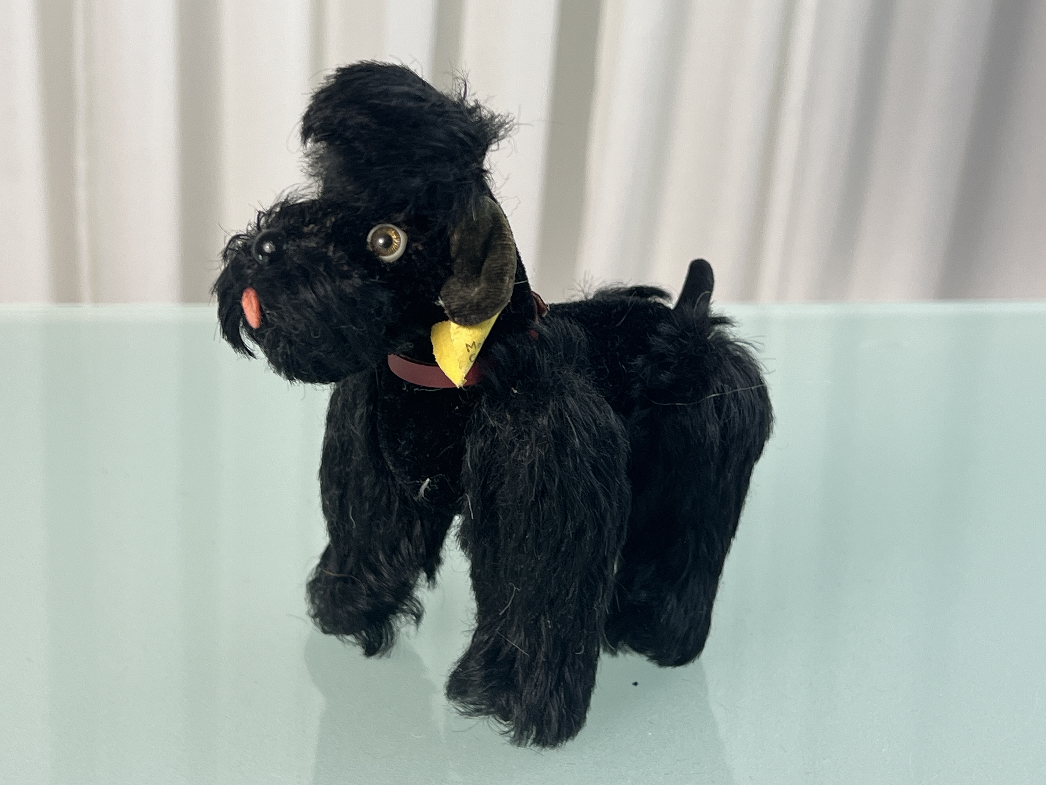 Steiff Tier Hund Pudel 14 cm. Top Zustand  