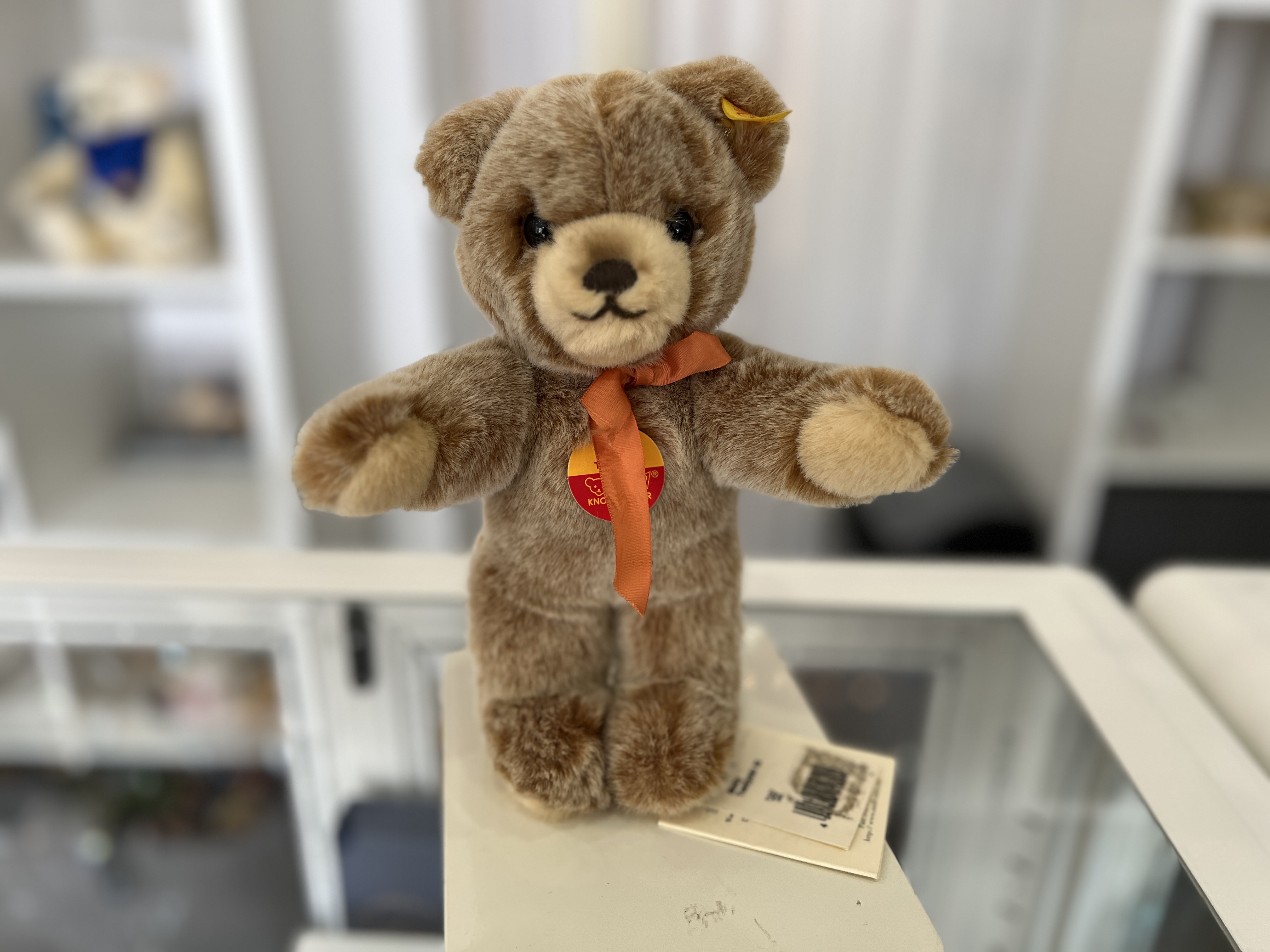Steiff Tier 019500 Teddy Bär 22 cm. Top Zustand   