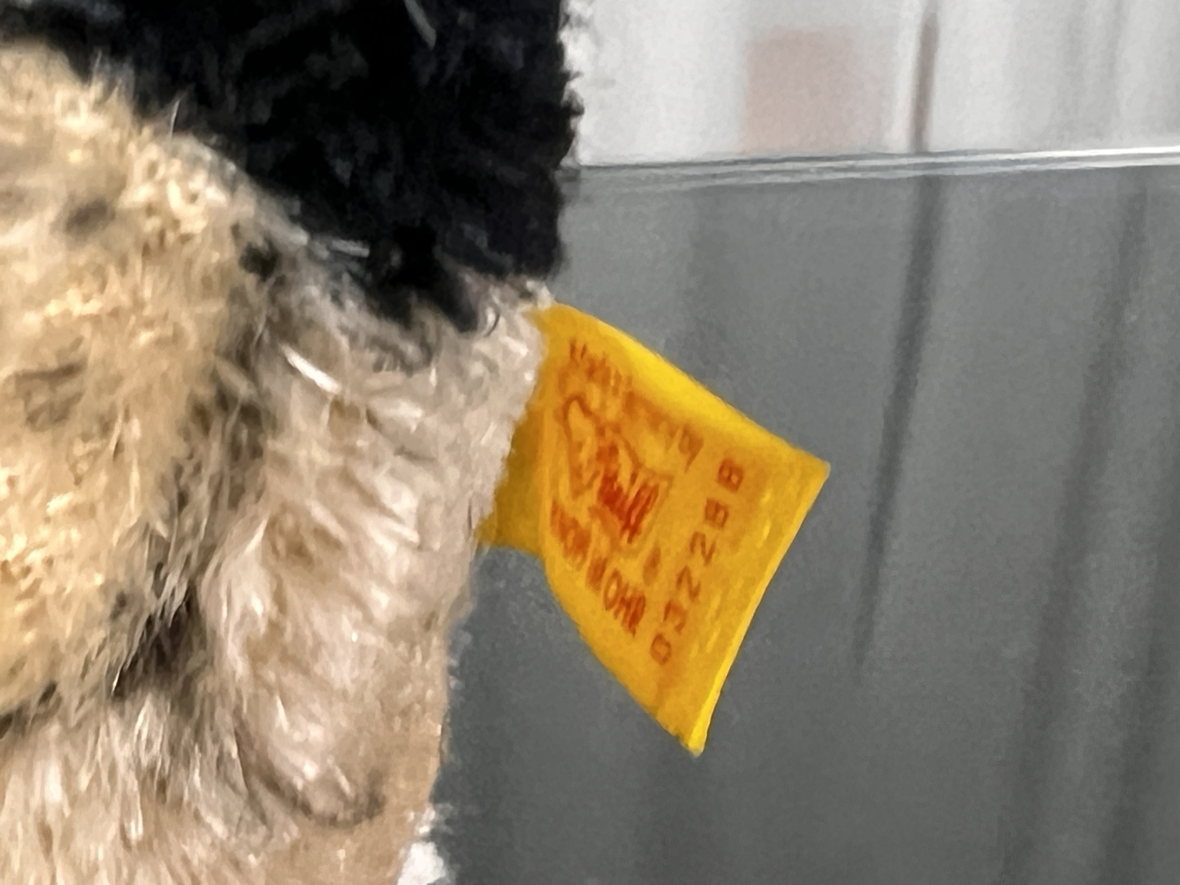 Steiff Tier Igel 13 cm - Top Zustand  