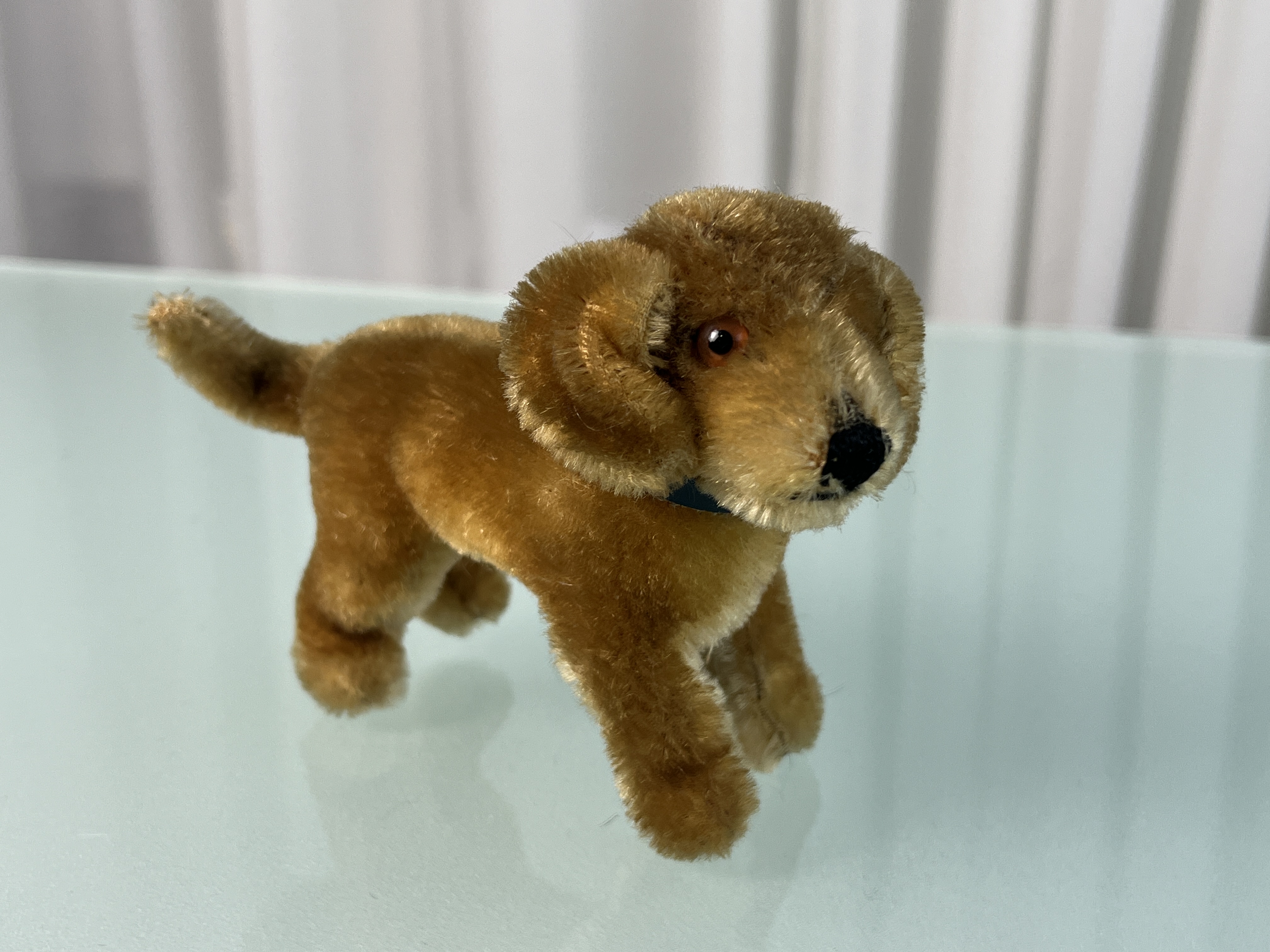 Steiff Tier Hund 11 x 15 cm. Zustand siehe Fotos 