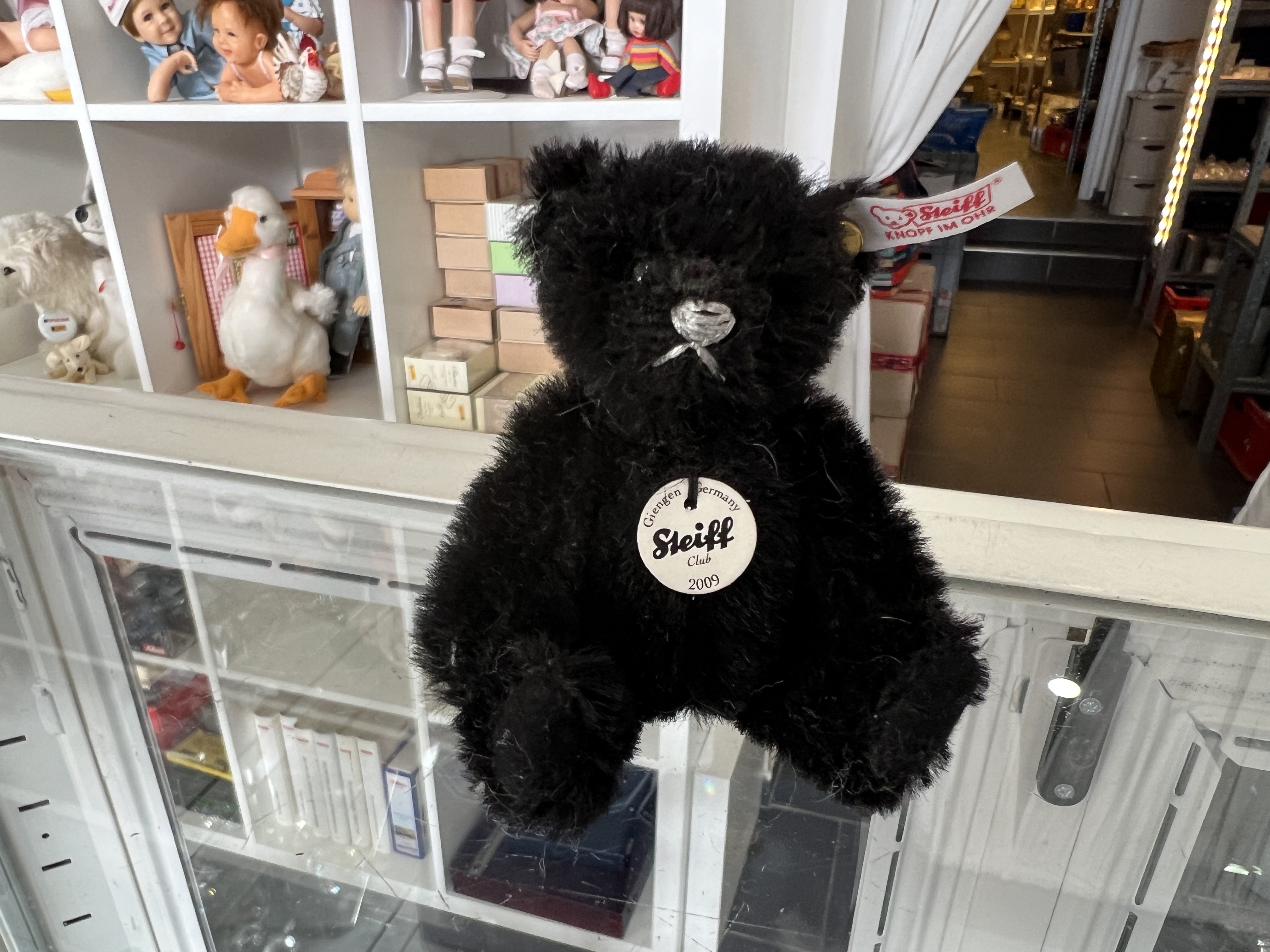 Steiff Tier Teddy Bär Club 2009 Bär. Top Zustand     