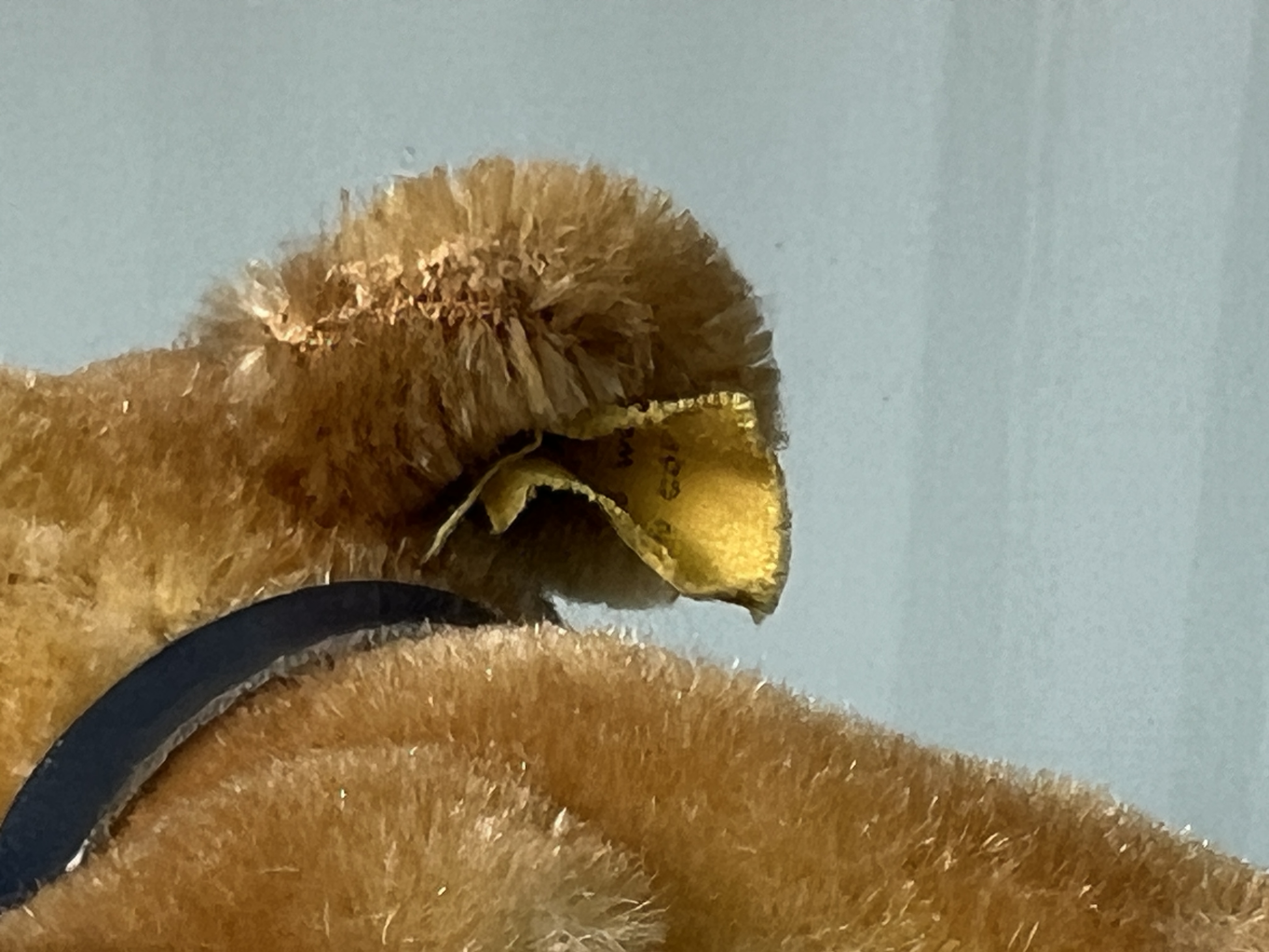 Steiff Tier Hund 10 x 16 cm. Top Zustand  