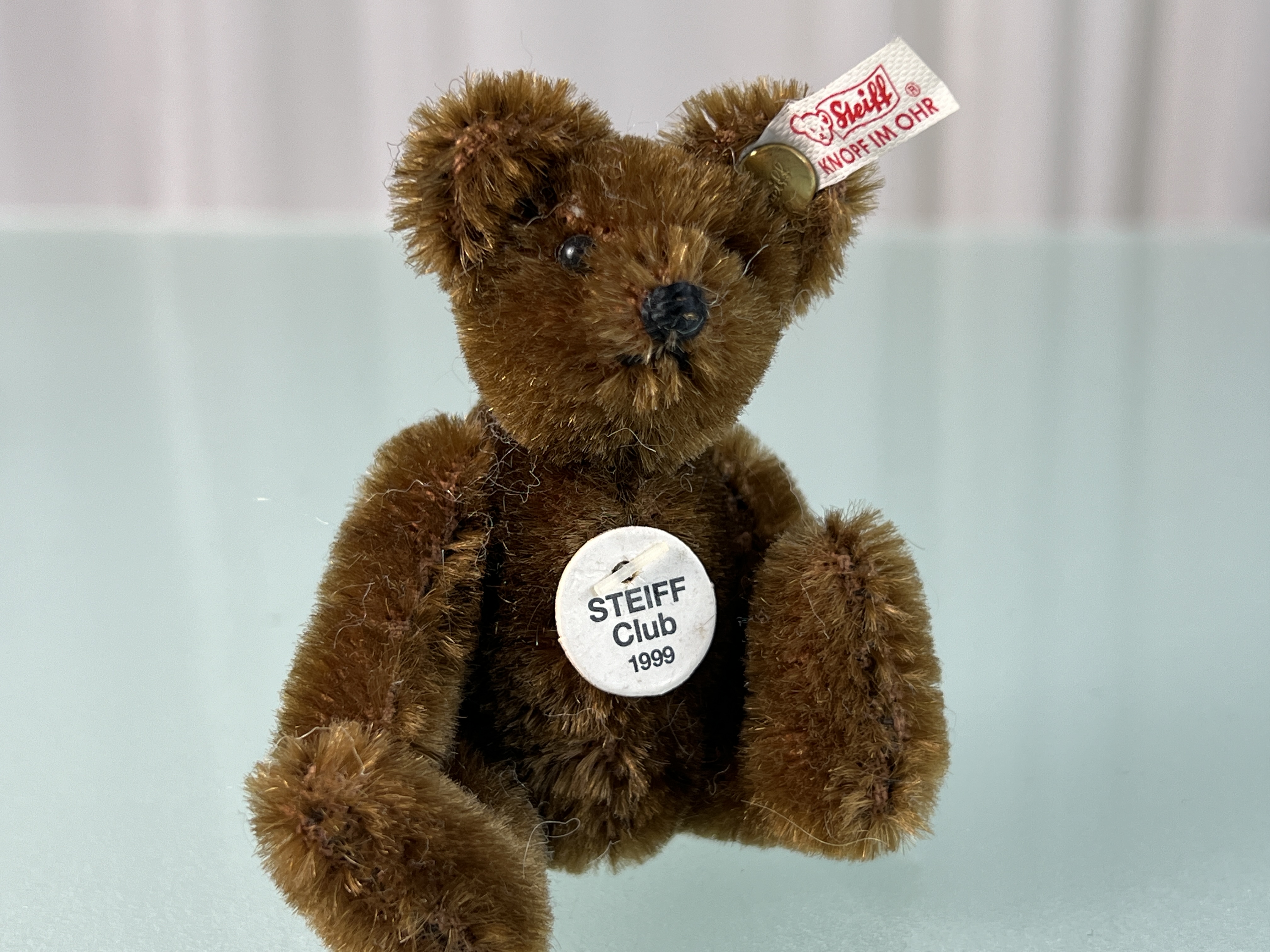 Steiff Tier Club Teddy Sammler Bär 1999. Top Zustand    