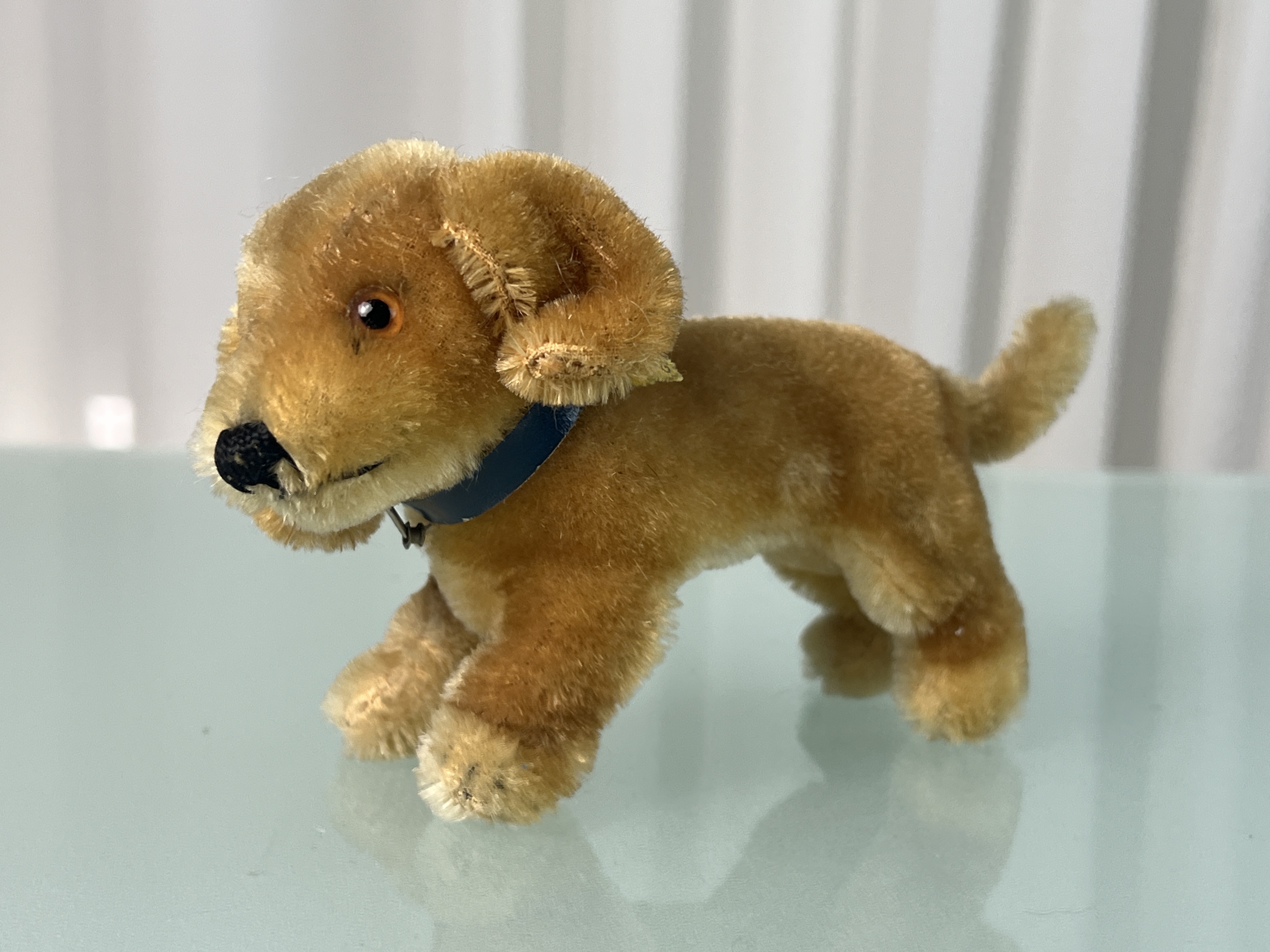 Steiff Tier Hund 10 x 16 cm. Top Zustand  